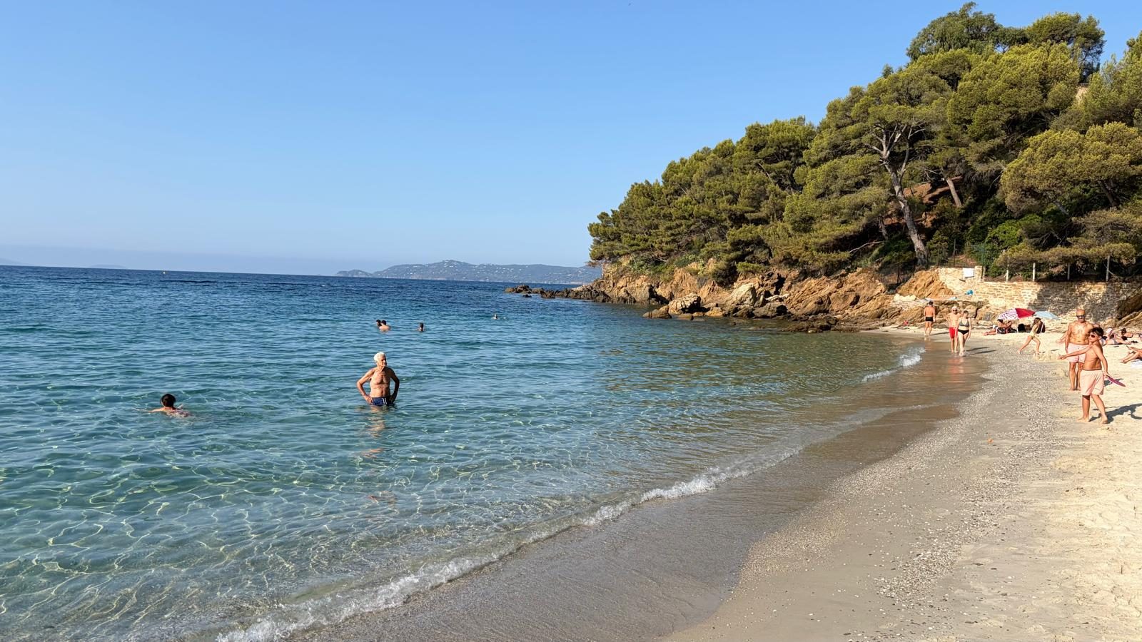 Die Bucht, klares Wasser und Pinien