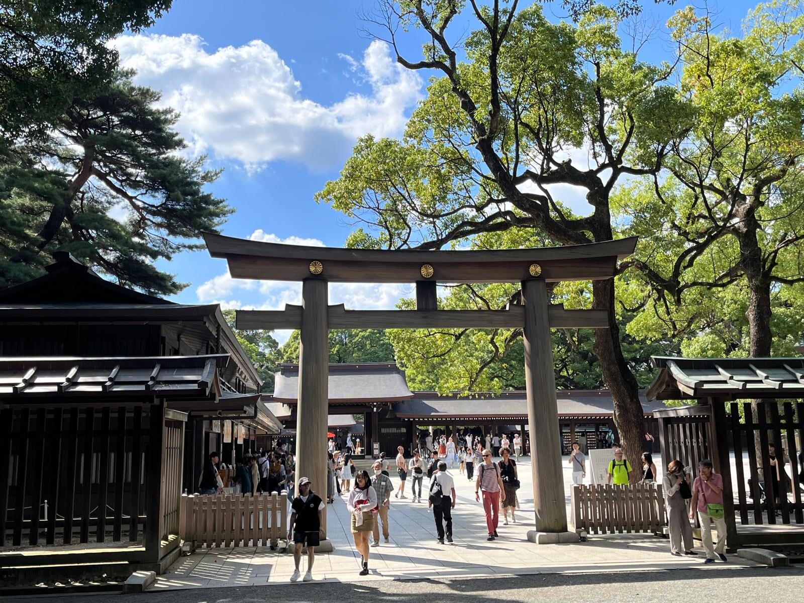 Das hölzerne Torii auf dem Weg zum Schrein