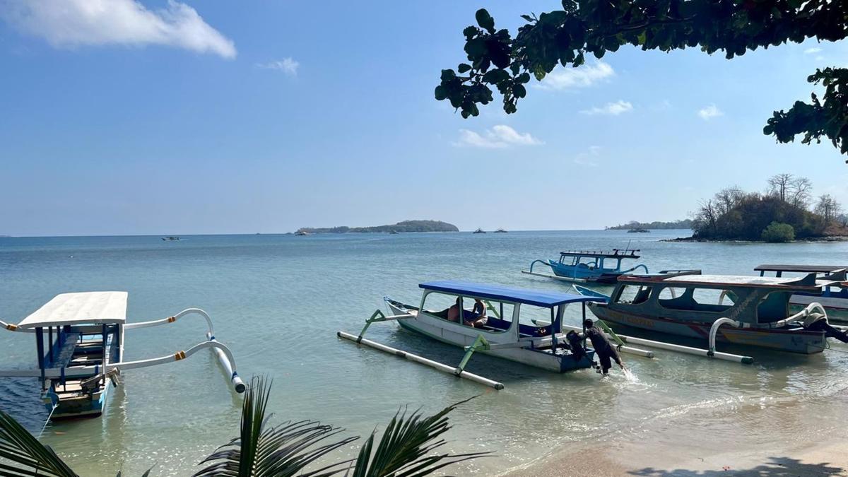 Boats at the harbour