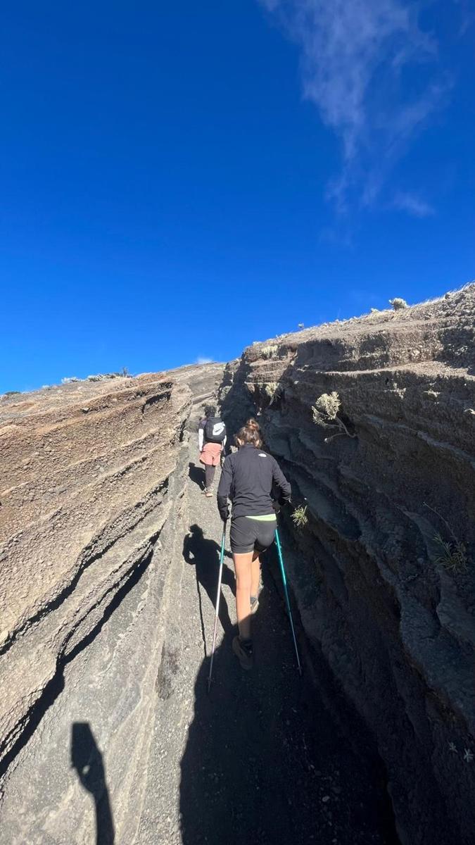 The ash gully near the top