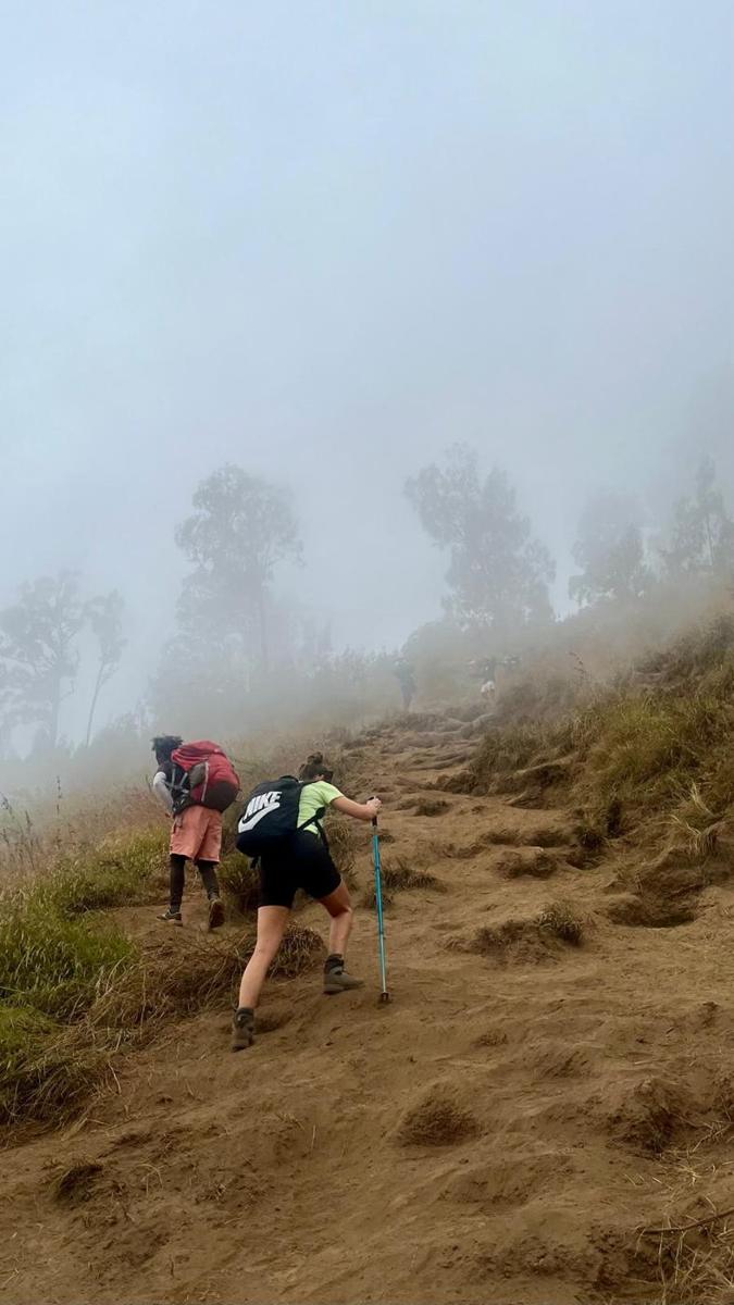 Climbing into the cloud