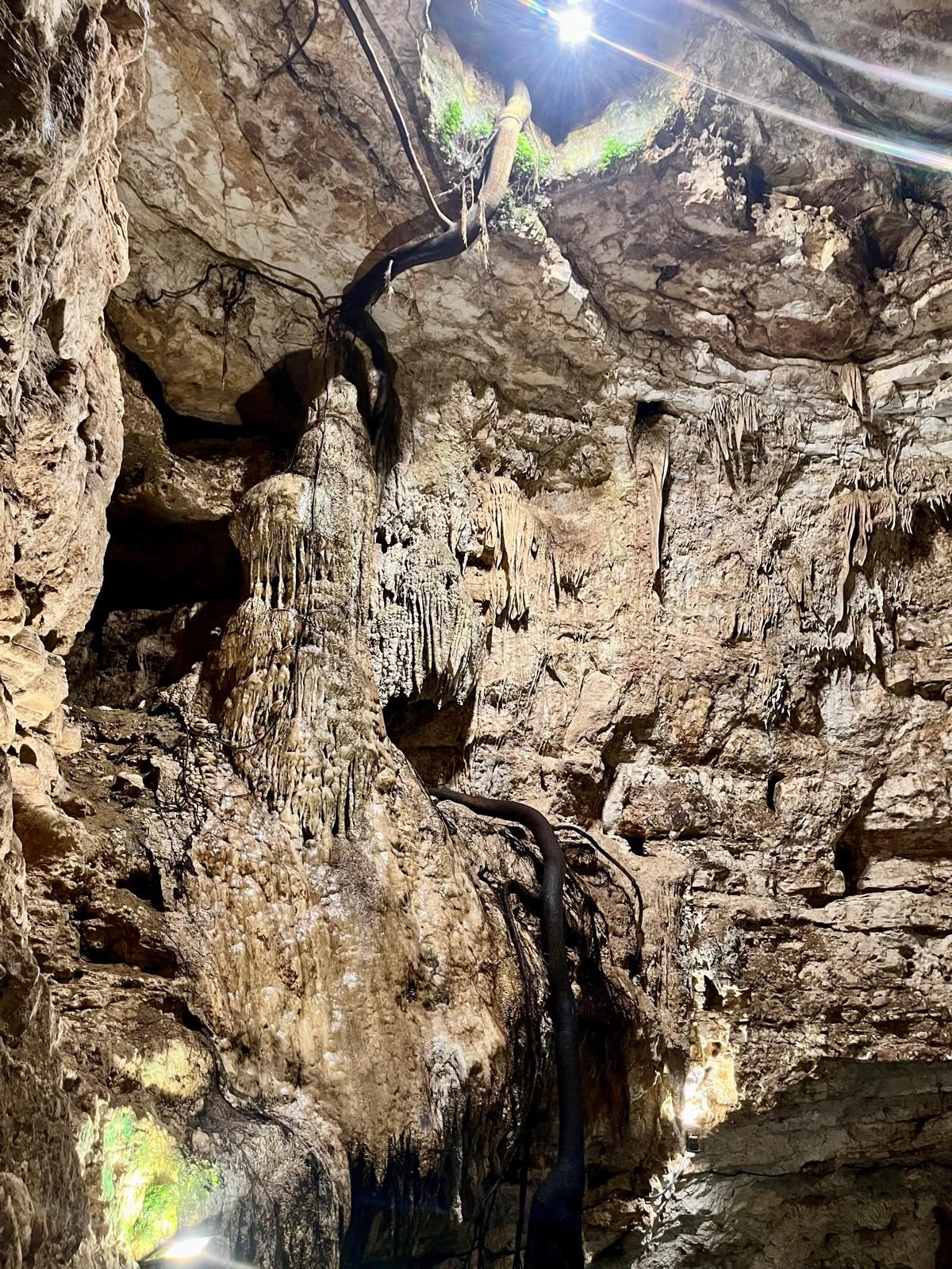 Stalactites over the water