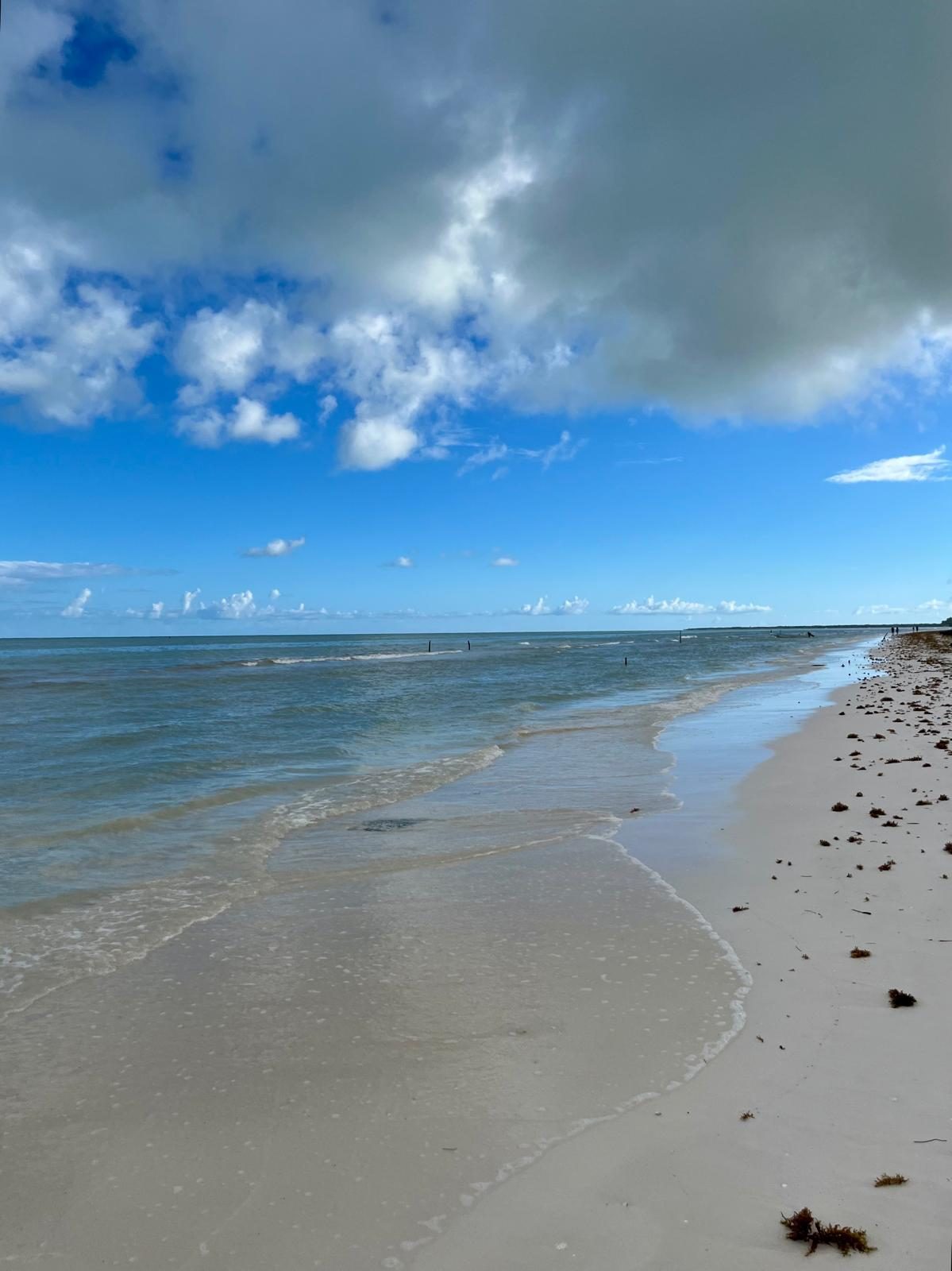 The shore on the way
